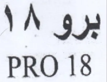 PRO 18 برو