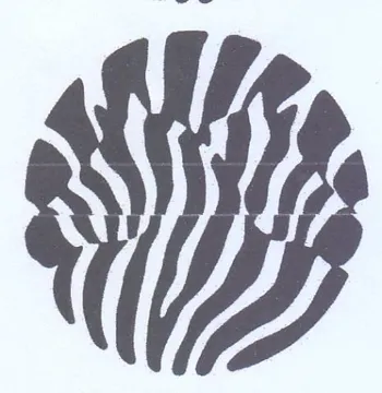 Wy