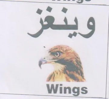 Bag trademark logo
