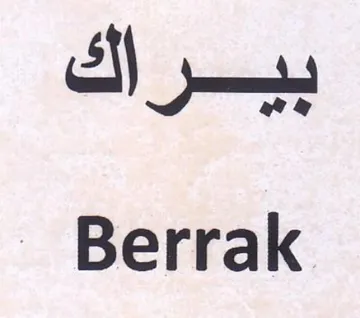 SN - Berrak