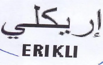 Sy
