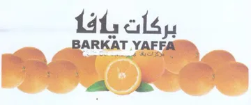 BORKAT VALI