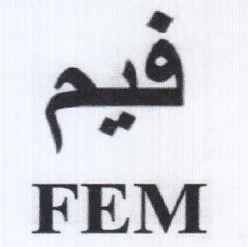 FEM يد