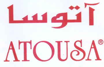 (figurative mark)