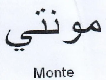 Monte موق