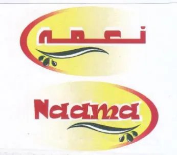 Se Netctytzed