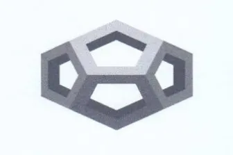 SS