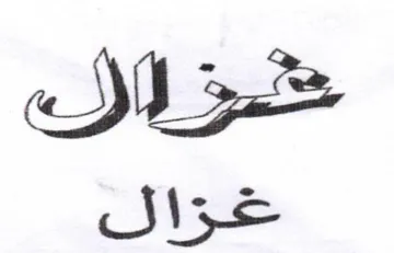 SNe غزال