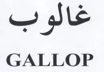 GALLOP غالوب trademark logo