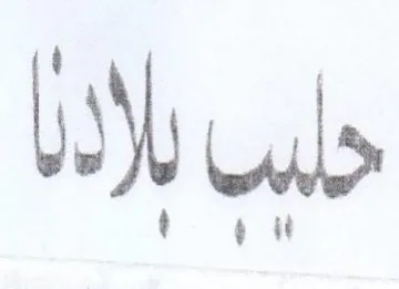 my حلي