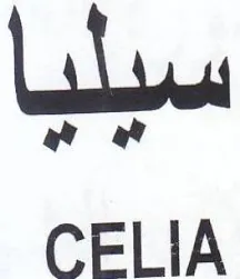CELIA سد