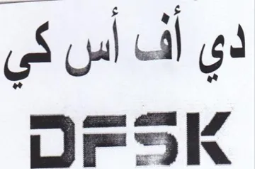 دى أف أس في