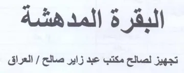 البقرة المدهشه تجهيز لصالح مكتب عبد زاير