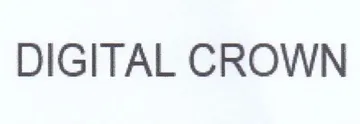 DIGITAL CROWN