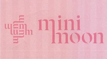 wen Mini a Bon