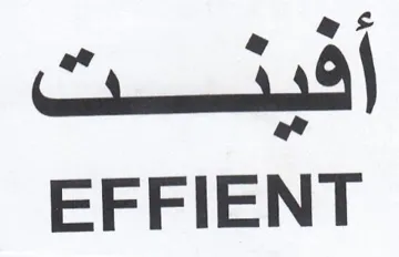 EFFIENT أفينت