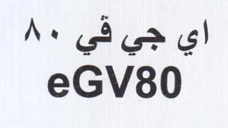 اي جي في