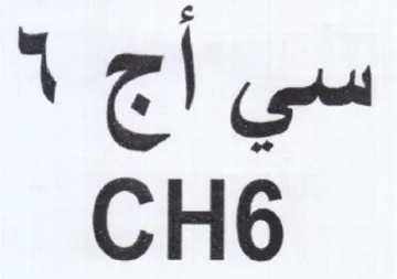 CH6 سي أج