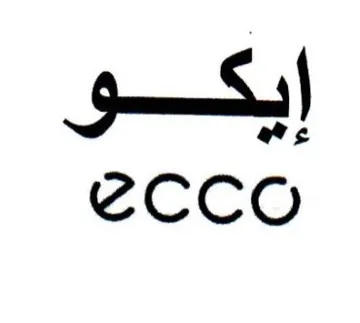ايككوق