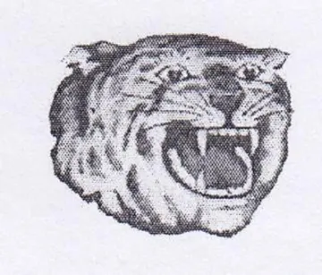 (figurative mark)
