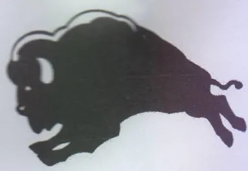 °