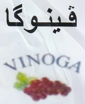 Zg ie فينوكا