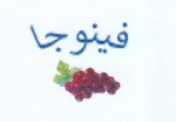 فينوجا