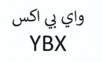 YBX واي بي اكس