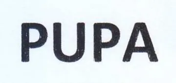 PUPA