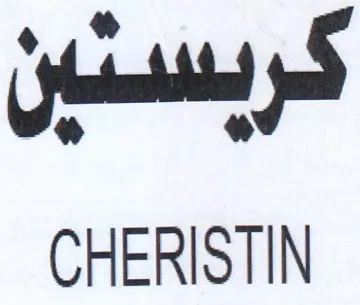 promt CHERISTIN