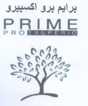 vy 03 a برايم برو اكسبيرو