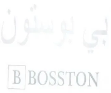 BIBOSSTON