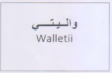 Walletii واليتي