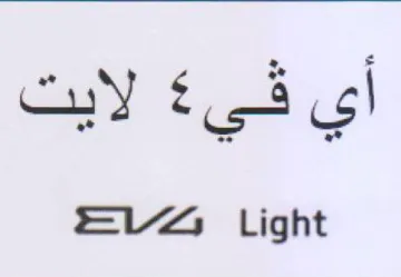 EV Light