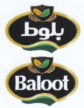 eS Baloot ee