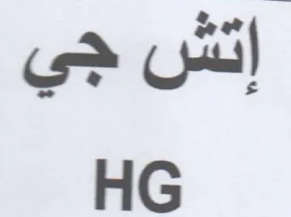 HG إتش جي