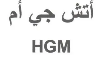 HGM أتش جي