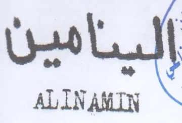 ALIN AMIN