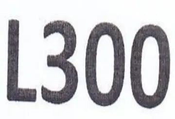 L300