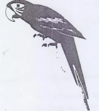 (figurative mark)