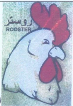 ROOSTERS روستر