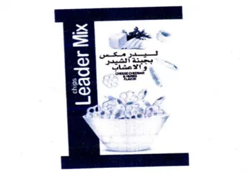 aS Ess سخ الكت