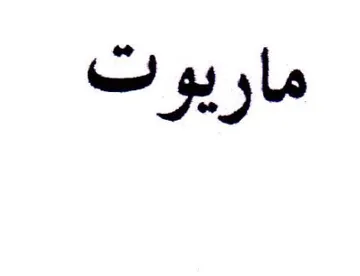 file trademark logo