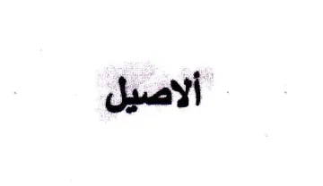 (figurative mark)