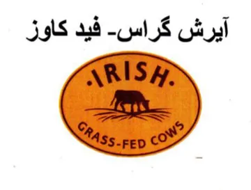 ARIS Y آيرش كراس