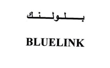 BLUELINK