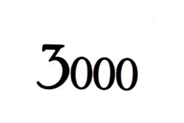 3000