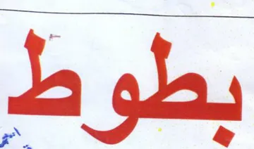 بطوط