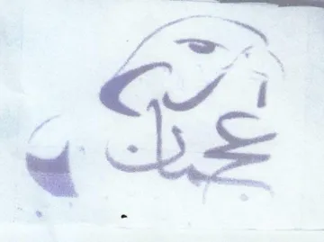 (figurative mark)