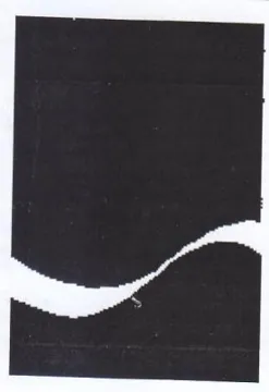 (figurative mark)